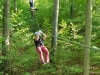 Climbing Forest 2018