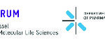 LogoWebsite_2